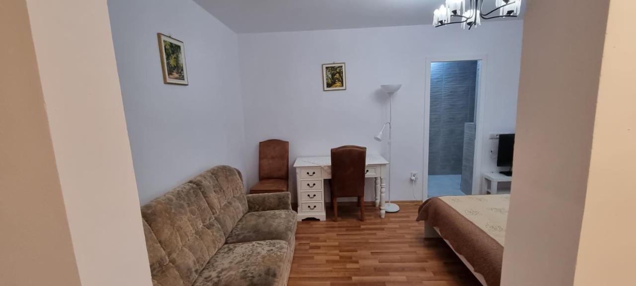 Studio Roco Cluj-Napoca Extérieur photo