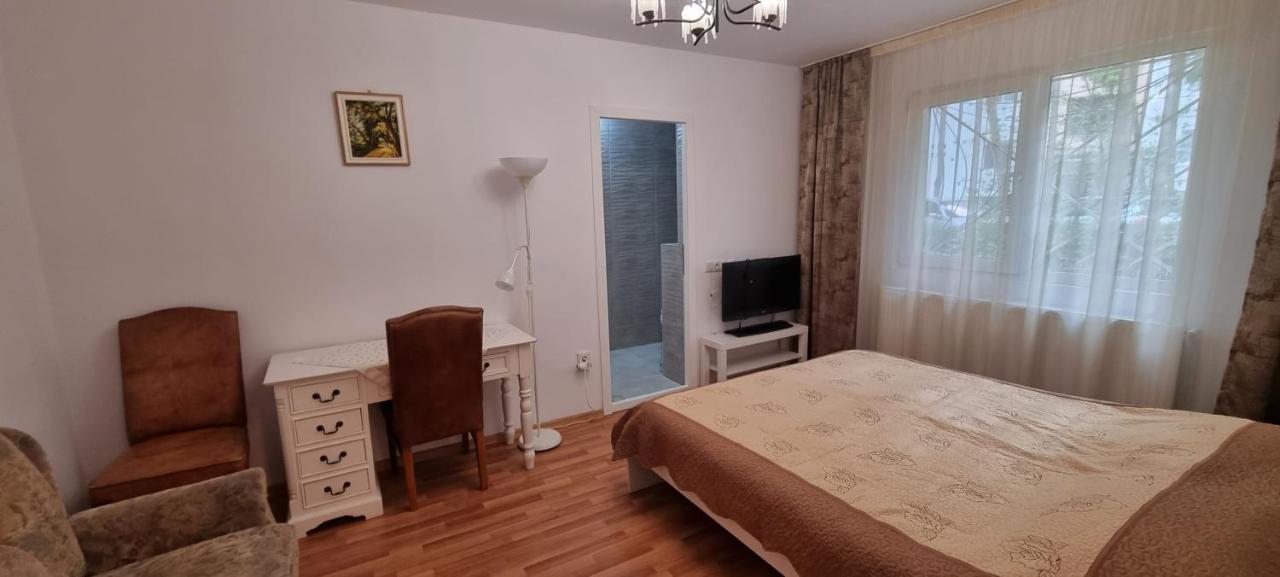 Studio Roco Cluj-Napoca Extérieur photo