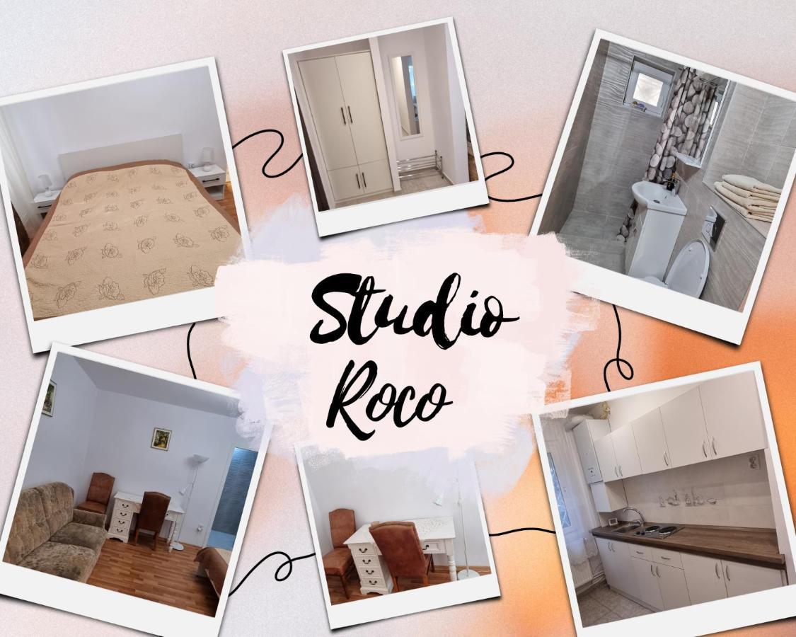 Studio Roco Cluj-Napoca Extérieur photo
